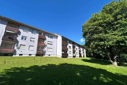Wohnung zum Kaufen in Calw 192.000,00 € 64 m²