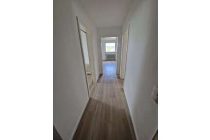 Wohnung zum Mieten in Bergheim 390,00 € 46 m²