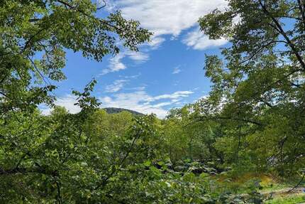 Lichtverwöhnte, urbane Stadtwohnung mit Süd-Balkon in beliebter Ahrlage von Bad Neuenahr! - Bad Neuenahr-Ahrweiler