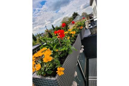 Wohnung, Penthouse, 3 Zi., Vollmöbliert, Heddernheim - Frankfurt am Main Nord-West