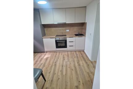 1,5 Zimmer Wohnung möbliert mit Gartenanteil in Feldmoching - München Feldmoching-Hasenbergl