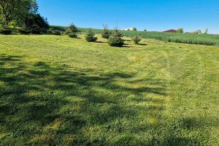 Baugrundstück in ruhiger Lage - 46,00&nbsp;EUR Kaltmiete, ca.&nbsp; 0,00&nbsp;m&sup2; in Gemünden (PLZ: 55490)