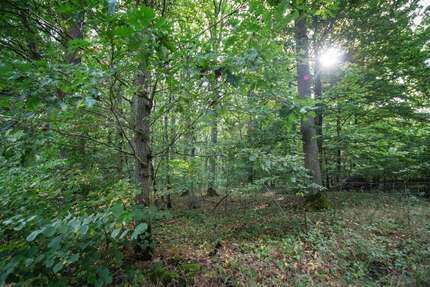 Grundstück in Poppenhausen 354.000,00 € 120000 m²