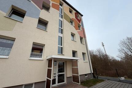 Einraumwohnung Heidestraße 53 EG Rechts, 01454 Radeberg