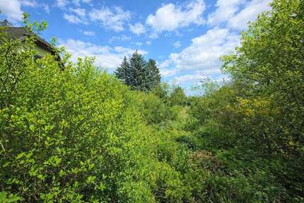 Grundstück zu verkaufen in Möser 115.000,00 € 15996 m²