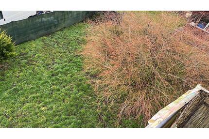 Einfamilienhaus in 66892 zu Vermieten - Bruchmühlbach-Miesau