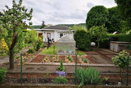 Pachtgarten - 3.500,00&nbsp;EUR Kaltmiete, ca.&nbsp; 0,00&nbsp;m&sup2; in Arnstadt (PLZ: 99310)