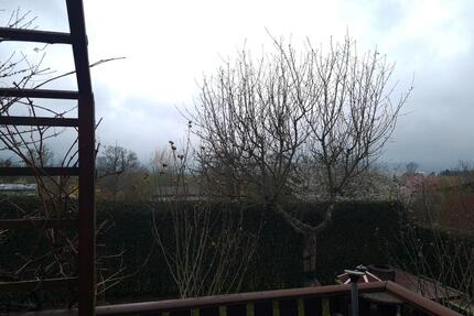 Kleingarten - 1.000,00&nbsp;EUR Kaltmiete, ca.&nbsp; 0,00&nbsp;m&sup2; in Löbau (PLZ: 02708)