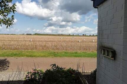 Provisionsfrei! Familienfreundliches Reihenmittelhaus als Bungalow Feldrandlage nahezu barrierefrei - Wunstorf