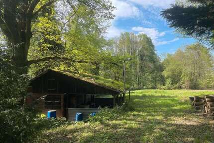 Grundstück zu verkaufen in Kuppenheim 59.000,00 € 7500 m²