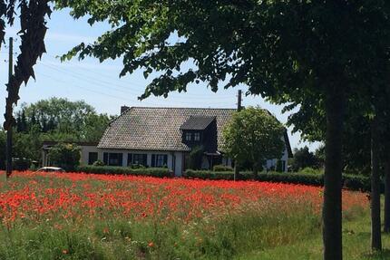 Ferienwohnung auf dem Pferdehof - Burow