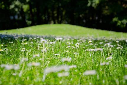 AIGNER - Sonniges Erbbaugrundstück in Waldtrudering - München Trudering-Riem