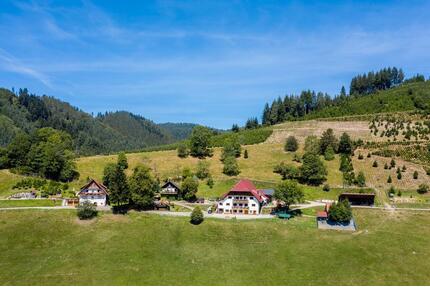 Ferienhaus im Schwarzwald - Urlaub auf dem Bauernhof - top Lage! - Oppenau