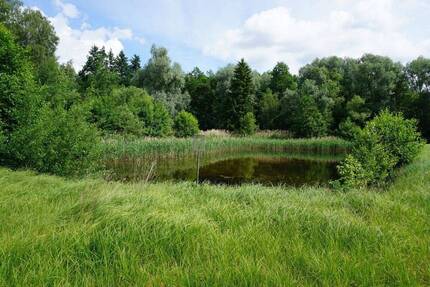 2 Teichgrundstücke 36.524 m² mit Grünland-, Wald- und Gehölzflächen in 29559 Wrestedt OT Bollensen , kein Bauland !
