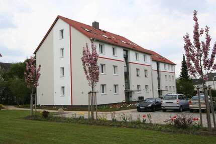 Wohnung zum Mieten in Peine 449,00 € 41 m²