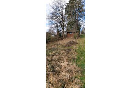 Garten Grundstück in Goldbach zu verpachten