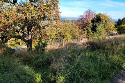 Gütle in Metzingen Garten Grundstück Freizeit Reutlingen