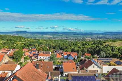 Haus zum Kaufen in Wackernheim 548.000,00 € 188 m²