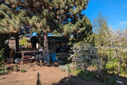 Wunderschöner Pachtgarten - 3.800,00&nbsp;EUR Kaltmiete, ca.&nbsp; 0,00&nbsp;m&sup2; in Apolda (PLZ: 99510)