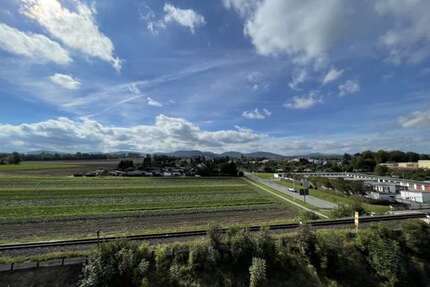 Wohnung zum Mieten in Zittau 800,00 € 140 m²