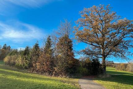 Wochenend Gartengrundstück Freizeitgrundstück zur Verpachten - Kirchhundem