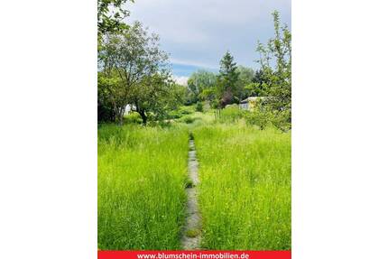 *Großzügiges Baugrundstück in herrlicher Lage* - Bad Langensalza