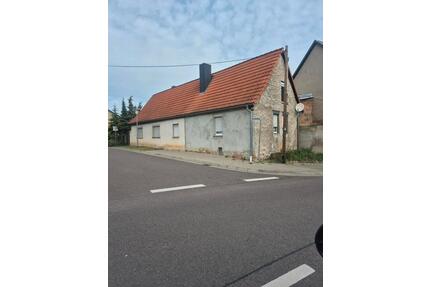 Verkaufe Einfamilienhaus - 48.000,00&nbsp;EUR Kaufpreis, ca.&nbsp; 126,00&nbsp;m&sup2; in Osternienburger Land (PLZ: 06386)