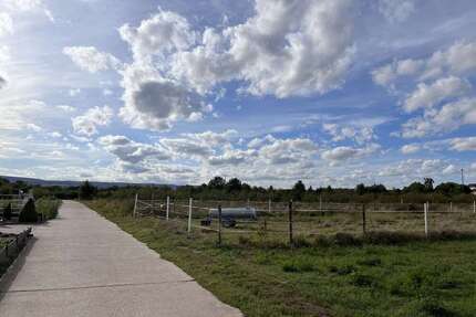 Grundstück zu verkaufen in Weisenheim am Sand 147.000,00 € 601 m²