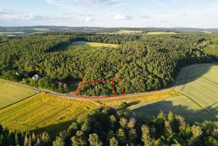 Grundstück zu verkaufen in Weidenbach 360.000,00 € 4000 m²