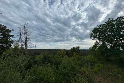 Grundstück zu verkaufen in Puschendorf 176.000,00 € 725 m²