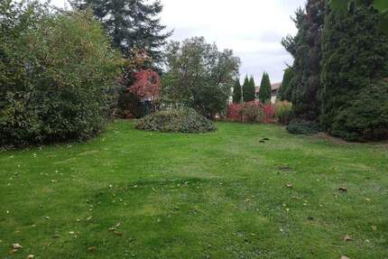 Einfamilienhausgrundstück in grüner Lage in Grimma OT Böhlen