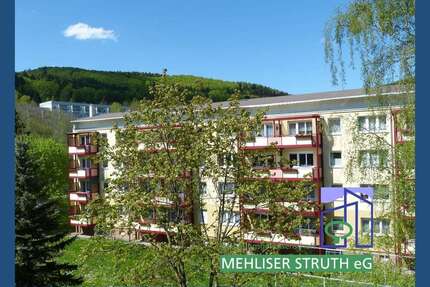 Wohnung zum Mieten in Zella-Mehlis 354,00 € 50 m²