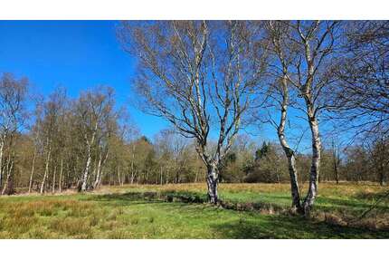 Grundstück in Wiesmoor 93.500,00 € 37446 m²