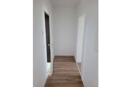 Wohnung zum Mieten in Ludwigshafen am Rhein Maudach 725,00 € 55.69 m² - Ludwigshafen am Rhein / Maudach