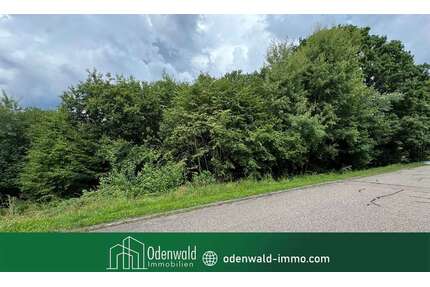 Grundstück zu verkaufen in Waldbrunn 50.000,00 € 2062 m²