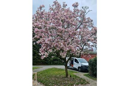 Ferienhaus, Ferienwohnung 26670 Uplengen - Ostfriesland ebenerdig