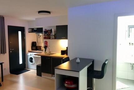 möblierte Ferienwohnung ab 1.4.2026 frei - Untereisesheim