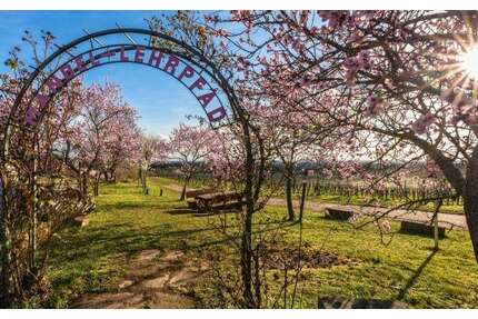 Grundstück zu verkaufen in Neustadt 368.000,00 € 721 m²