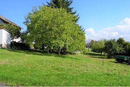 Großes Grundstück in ruhiger, verkehrsgünstiger Lage im Grünen - Flieden Struth