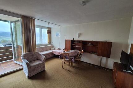 voll möbliertes 1,5-Zi. Apartment - Balkon, Pool, Strom, Internet - Baiersbronn