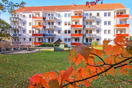 Auf der Sonnenseite des Lebens.. - Freiberg