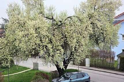 Wohnung zum Kaufen in Weilheim 335.000,00 € 79.73 m²