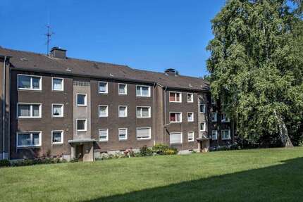 Wohnung zum Mieten in Hagen 519,00 € 70 m²