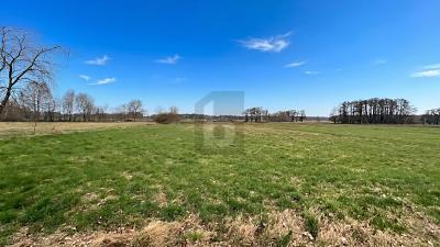 SONNIGES WEIDEPARADIES FÜR TIERHALTUNG - Wilstedt