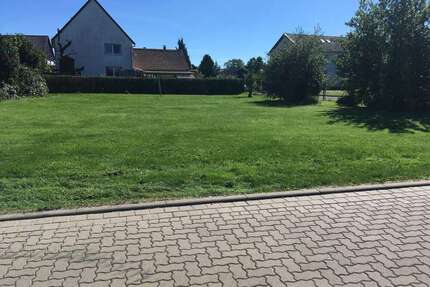 Grundstück zu verkaufen in Horn-Bad Meinberg 80.000,00 € 700 m²
