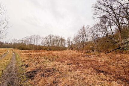 AUKTION: unbebautes Grundstück - 3.000,00&nbsp;EUR Kaltmiete, ca.&nbsp; 0,00&nbsp;m&sup2; in Frankenberg (Sachsen) (PLZ: 09669)