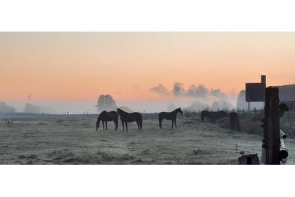 Wohnen auf Zeit in ruhiger Feldrandlage - Dörpen