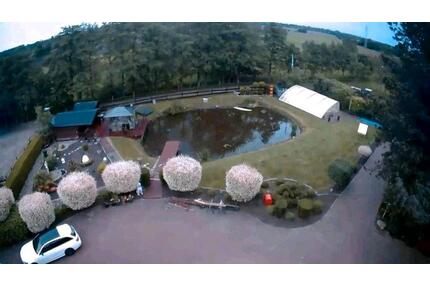 Einfamilienhaus,Pferdeboxen,Schwimmbad,Sauna,Teich Nähe Norddeich - Hage