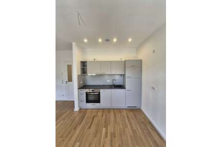 Wohnung zum Mieten in Chemnitz 455,00 € 53.6 m²