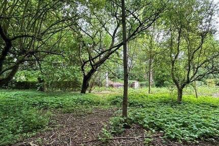 Neue Möglichkeiten in idyllischer Umgebung - Wilhelmshaven Siebethsburg